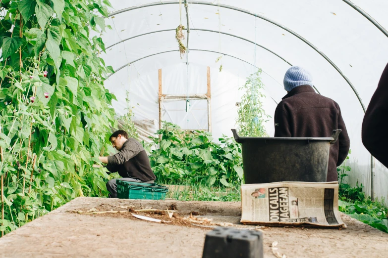 a group of people working in a greenhouse, by Helen Stevenson, unsplash, process art, an archway, central farm, clad in vines, sustainable materials