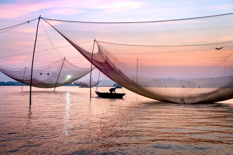 a couple of boats that are in the water, inspired by Steve McCurry, pexels contest winner, netting, phuoc quan, at dusk, pink