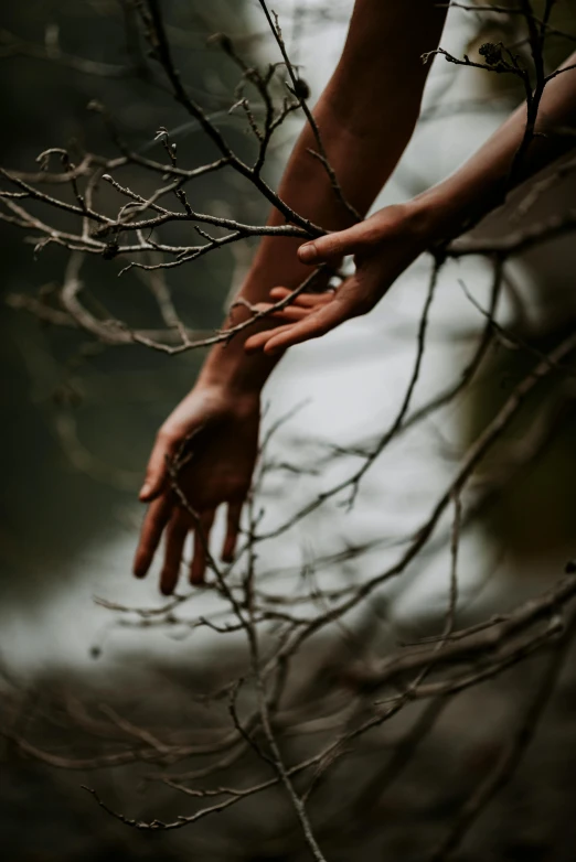 a person reaching for a branch of a tree, an album cover, inspired by Elsa Bleda, pexels contest winner, romanticism, hands crossed, concerned, ignant, entwined bodies