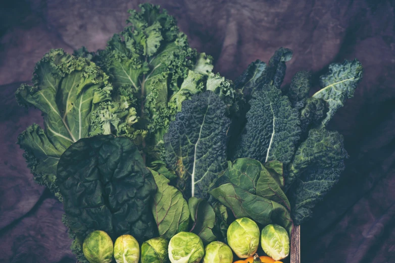 a bunch of vegetables sitting on top of a table, by Jane Freeman, pexels, lush greens, retro stylised, lettuce, panels