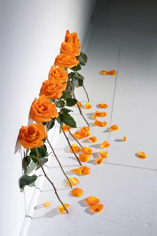 a row of orange roses sitting on top of a white floor, inspired by Michelangelo, romanticism, hanging vines, 5 feet away, award winning composition, albuquerque