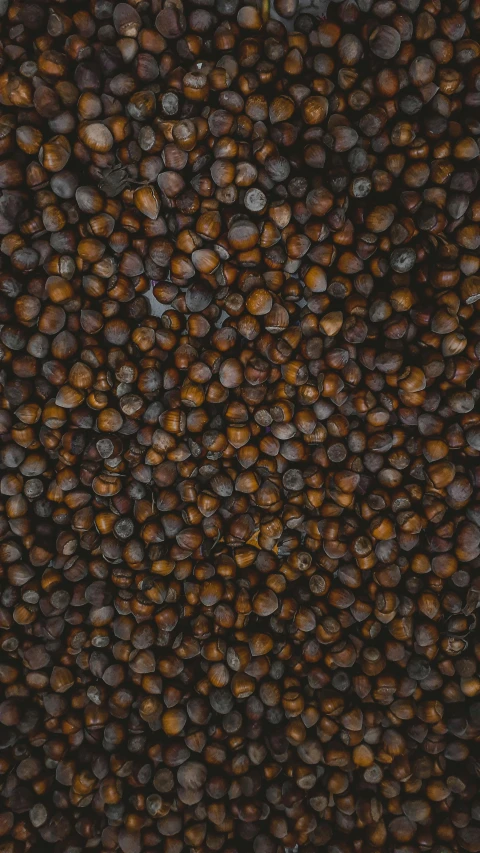 a pile of coffee beans sitting on top of a table, an album cover, by Nick Fudge, pexels, stereogram, corn, dark brown skin, high angle close up shot