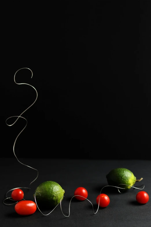 a bunch of tomatoes and cucumbers on a table, inspired by Alexander Calder, art photography, dark studio backdrop, avacado dream, string theory, curled perspective
