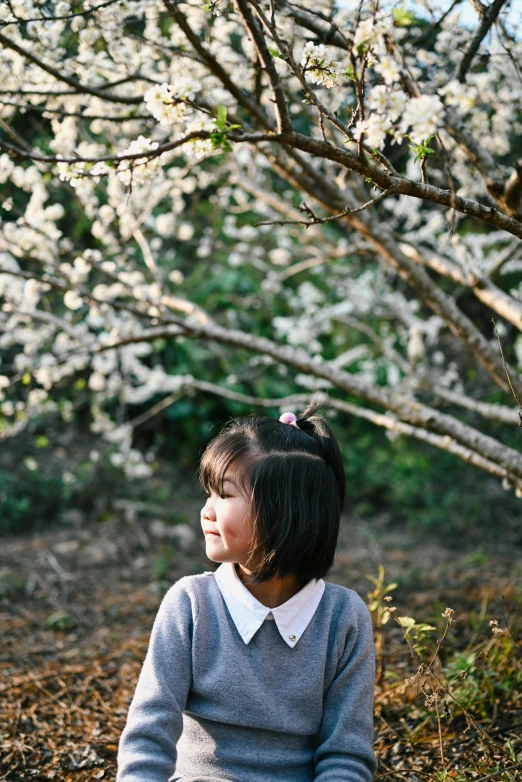 a little girl sitting on the ground in front of a tree, inspired by Kaii Higashiyama, unsplash, plum blossom, pictured from the shoulders up, taiwan, profile picture