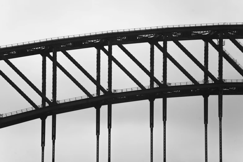 a black and white photo of the sydney harbour bridge, postminimalism, hyperdetailed metalwork, 🦑 design, a bald, photos