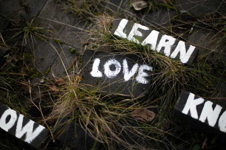 a stone with the words learn, love, know, know written on it, chalk art, inspired by Andy Goldsworthy, unsplash, land art, wet grass and black stones, 💋 💄 👠 👗, low angle photography, slate