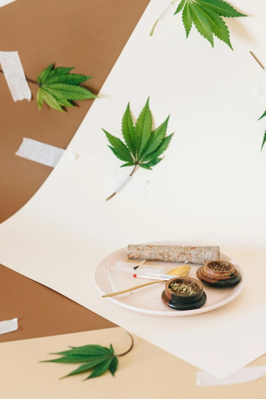 a piece of paper sitting on top of a table, a still life, inspired by Mary Jane Begin, 4 cannabis pots, natural materials, sana takeda, as well as scratches