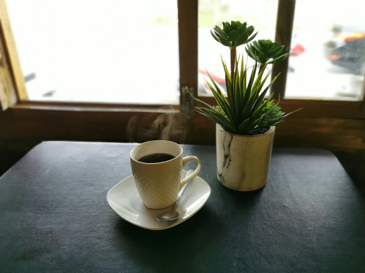 a cup of coffee sitting on top of a table, small plants on the window sill, profile image, square, fan favorite