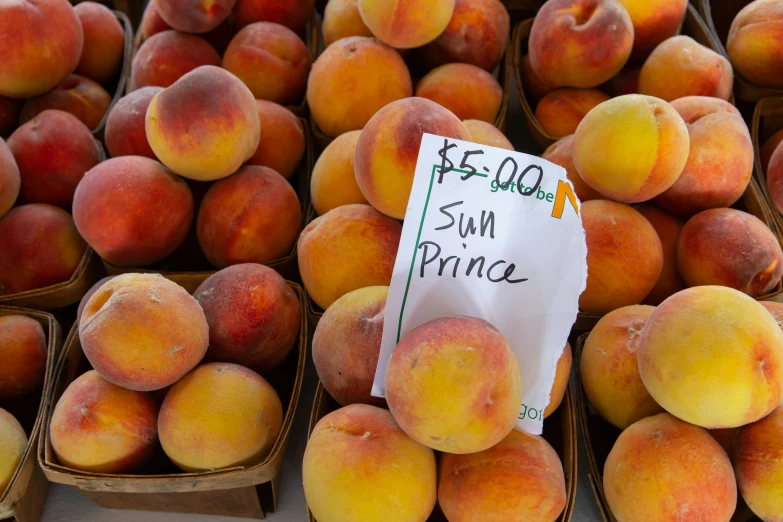 a pile of peaches for sale at a farmer's market, by Meredith Dillman, trending on unsplash, renaissance, 🎀 🧟 🍓 🧚, sydney hanson, subtitles, 2223194009