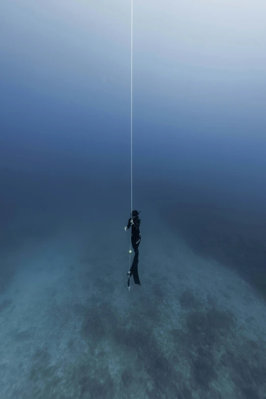 a person that is in the water with a rope, bottom of ocean, very long, hanging, photographed for reuters