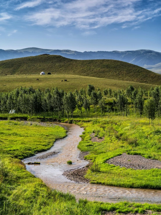 a river running through a lush green field, by Julia Pishtar, pexels contest winner, sci - fi mongolian village, trees in the grassy hills, today\'s featured photograph 4k, above lush garden and hot spring