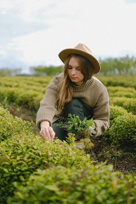 a woman kneeling down in a field of bushes, carefully crafted, wearing farm clothes, secret tea society, small plants