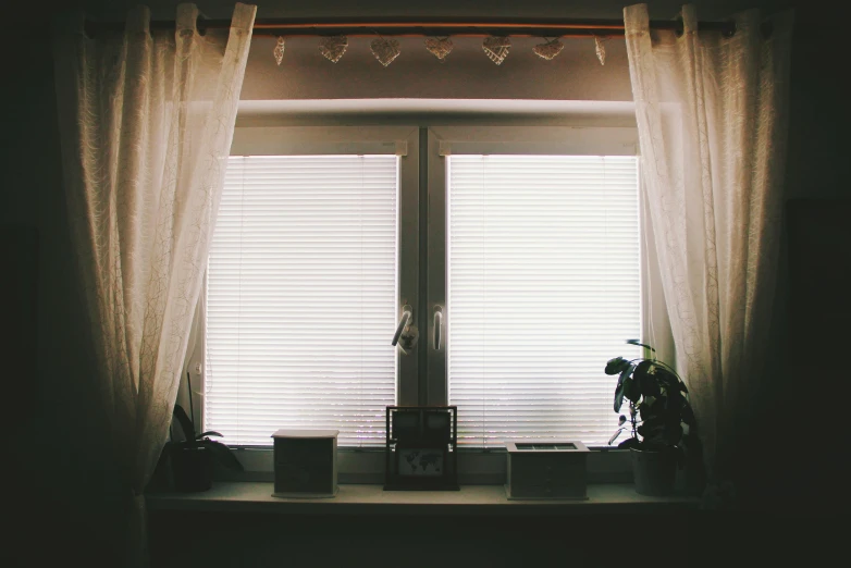 a window sill with a potted plant in front of it, unsplash, beaded curtains, no lights in bedroom, snapchat photo, evenly lit