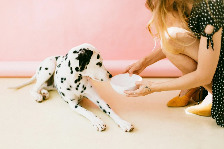 a woman kneeling down petting a dalmatian dog, pexels contest winner, minimalism, bowl filled with food, pink, 4 0 9 6