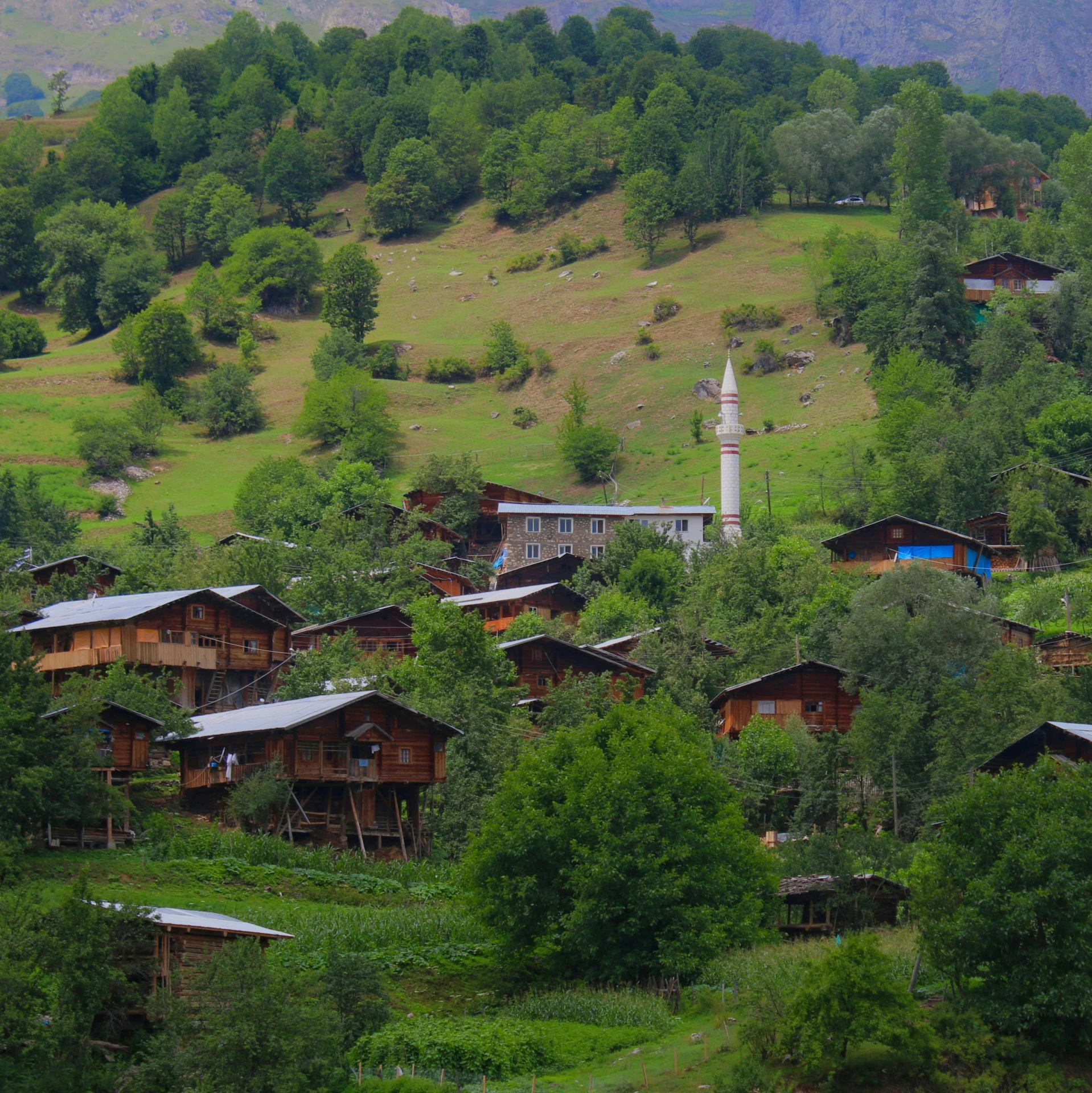 a group of houses sitting on top of a lush green hillside, by Muggur, hurufiyya, log homes, against the backdrop of trees, shallan davar, high elevation