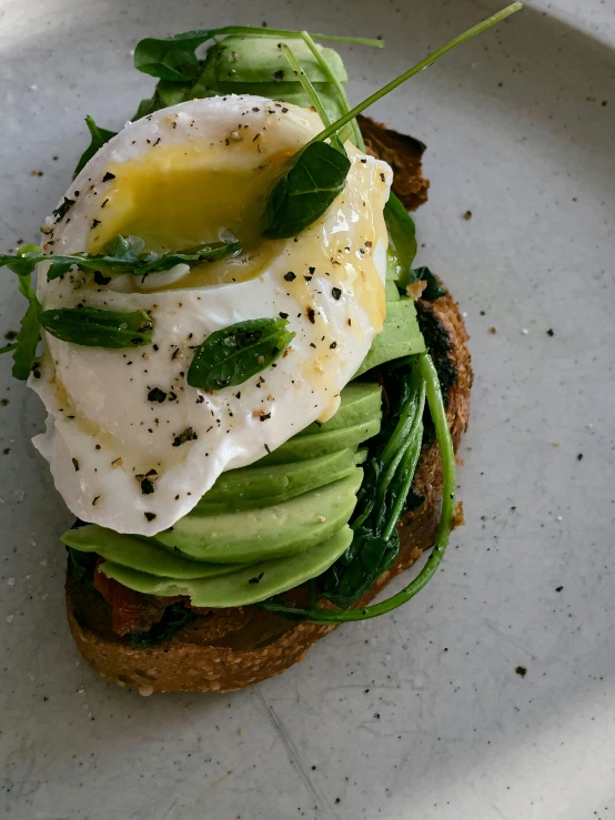 a white plate topped with an egg and avocado, brooke ashling, basil, sun - drenched, eucalyptus