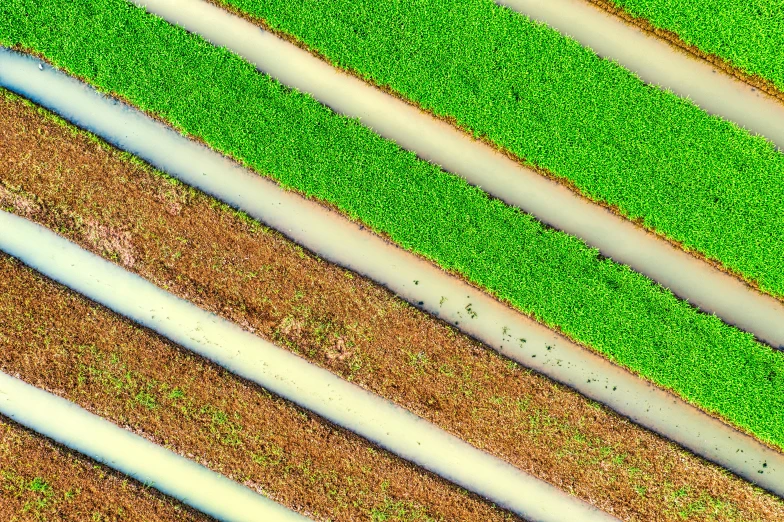 a group of pipes sitting on top of a lush green field, a digital rendering, by Carey Morris, pexels, color field, rows of lush crops, river delta, high angle close up shot, striped