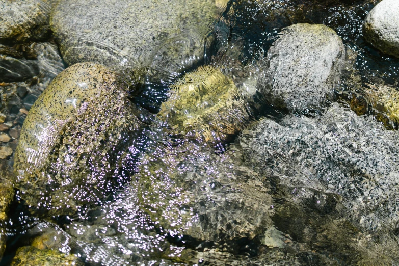 a close up of rocks and water in a stream, by Jan Rustem, reflective lavender ocean water, sparkling in the sunlight, concert, low detail