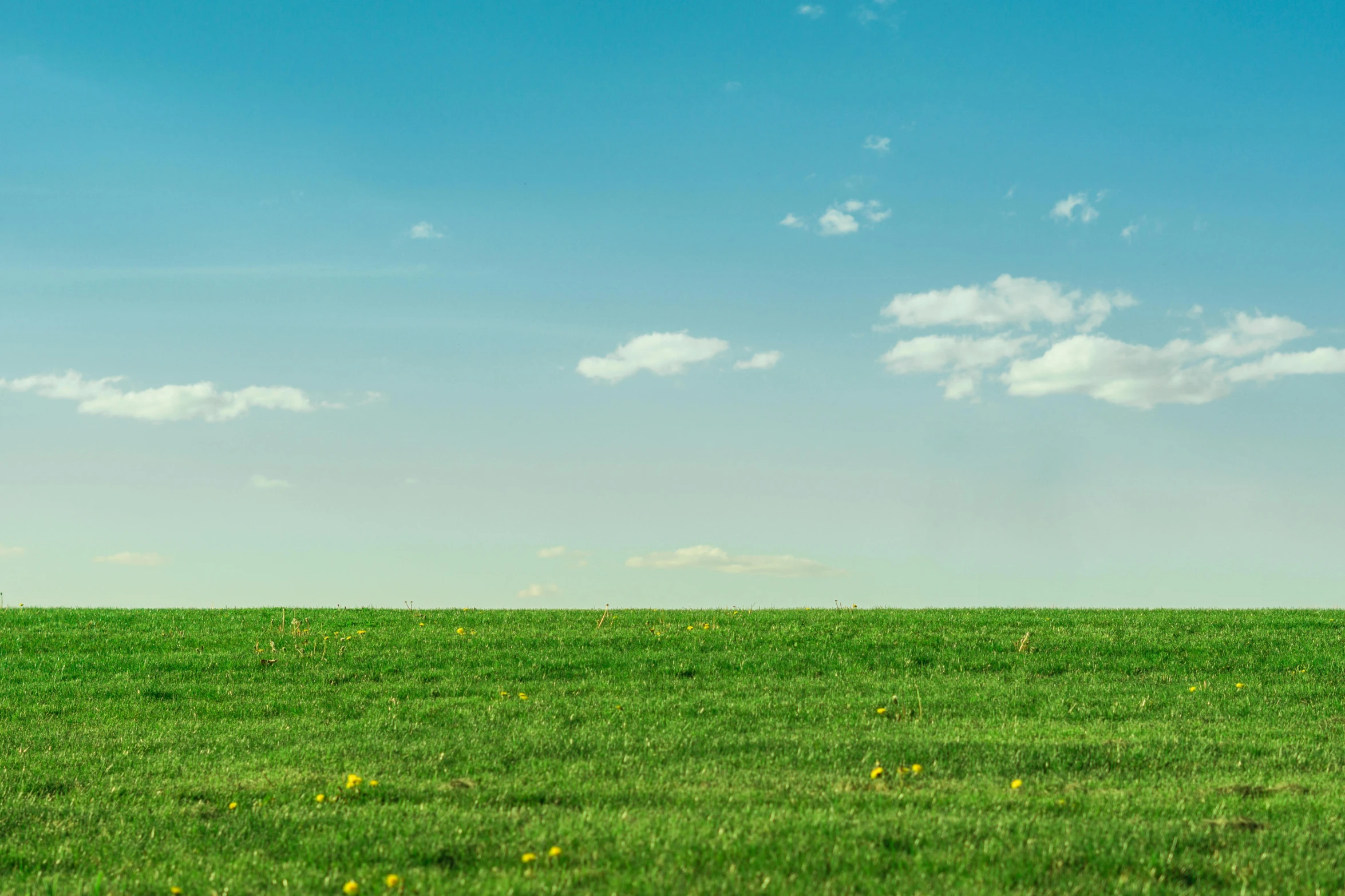 a field of green grass with a blue sky in the background, an album cover, unsplash, color field, lush lawn, cloudless sky, lawns, large sky