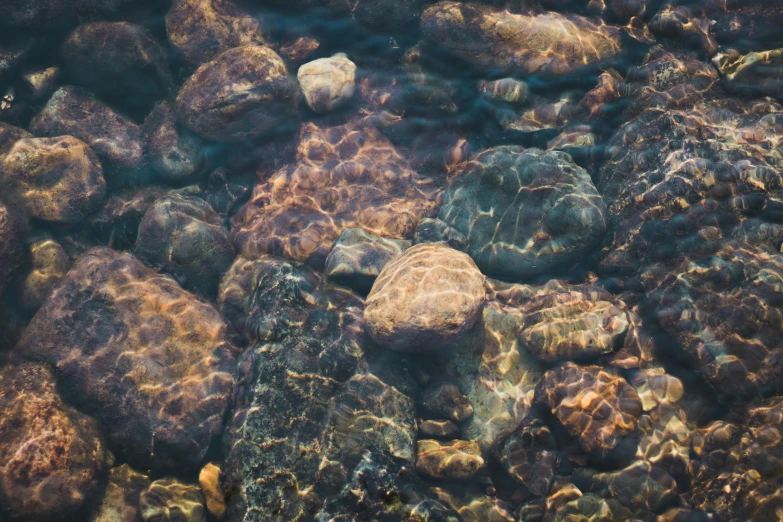 a close up of rocks and water in a body of water, an album cover, inspired by Elsa Bleda, unsplash, hyperrealism, checkerboard pattern underwater, brown, ultra realistic 8k octan photo, color ( sony a 7 r iv