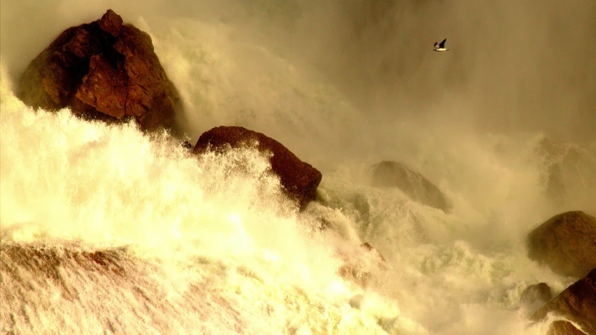 a bird flying over the top of a waterfall, pexels contest winner, rough waves, albert bierstadt 4 k, 2022 photograph, floods