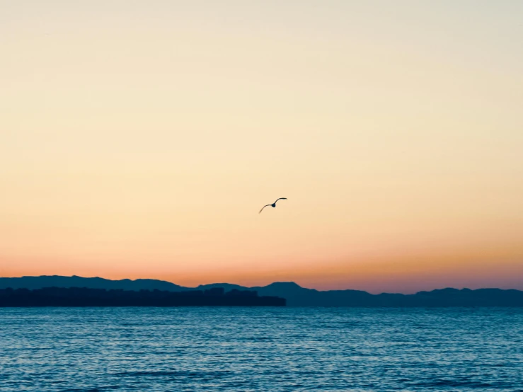 a bird flying over the ocean at sunset, pexels contest winner, minimalism, croatian coastline, distant mountains lights photo, serene colors, cannes