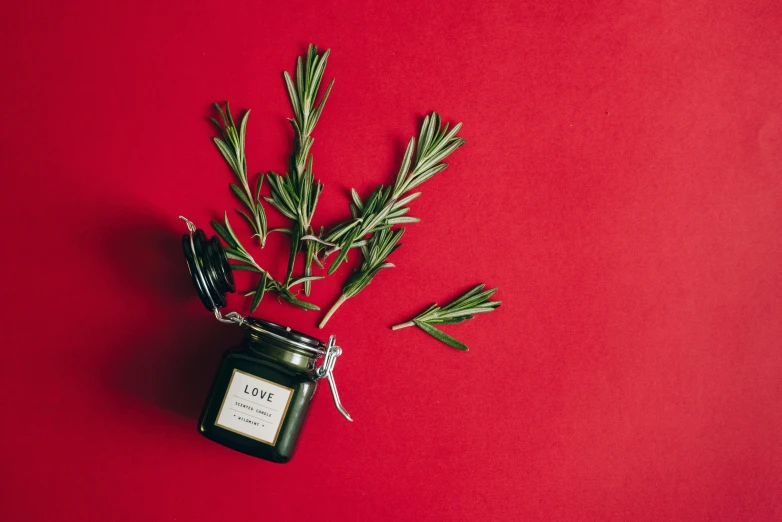 a bottle of rosemary on a red background, by Julia Pishtar, pexels contest winner, love craft, olive, evergreen, jar of honey