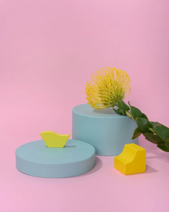 a yellow flower sitting on top of a blue box, an abstract sculpture, pastel green, detailed product shot, rubber ducky, rounded shapes