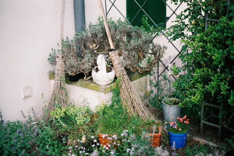 a white vase sitting on top of a window sill, broomstick, in a garden of a house, shot with hasselblad, topiary