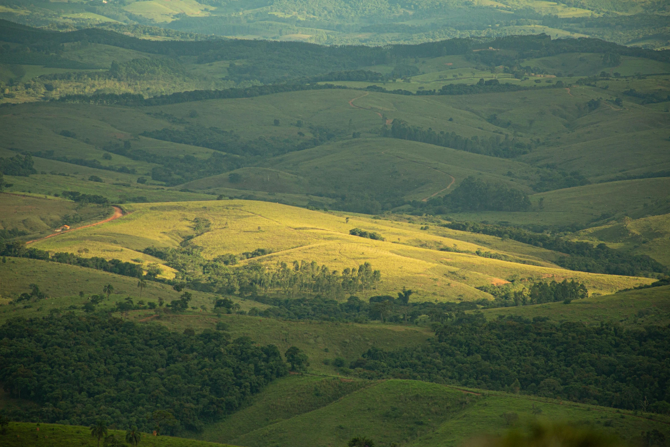 a view from the top of a hill of rolling hills, by Elsa Bleda, pexels contest winner, brazil, tamborine, late afternoon, lush farm lands