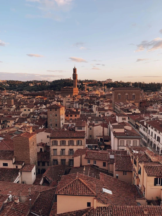 a view of a city from the top of a building, a picture, pexels contest winner, renaissance, bargello, at dusk!, slide show, brown