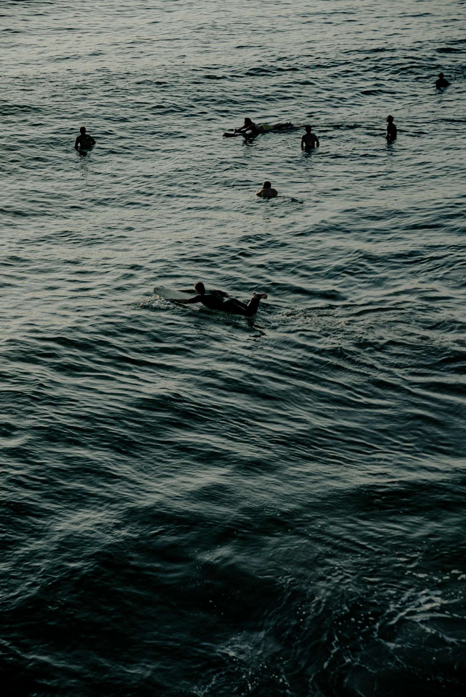 a group of people swimming in the ocean, by Elsa Bleda, low quality photo, late summer evening, surfing, flattened
