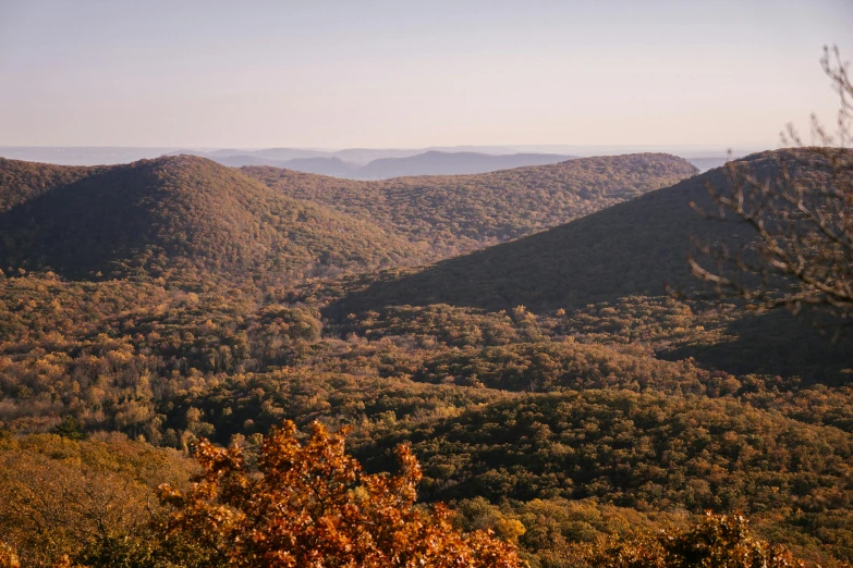 a view of the mountains from the top of a hill, inspired by Asher Brown Durand, unsplash contest winner, hudson river school, muted fall colors, tall broad oaks, shot at golden hour, 2000s photo