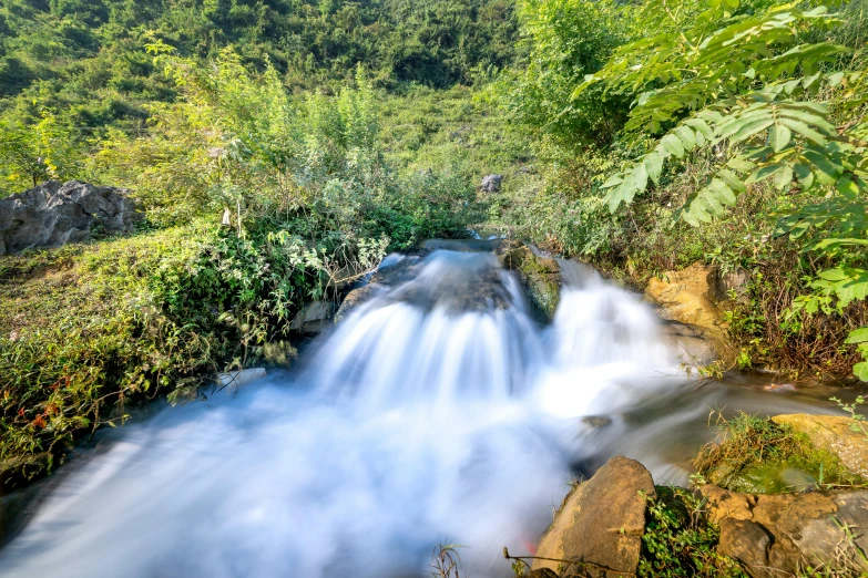 a stream running through a lush green forest, an album cover, pexels contest winner, hurufiyya, vietnam, white water rapids, avatar image, panorama