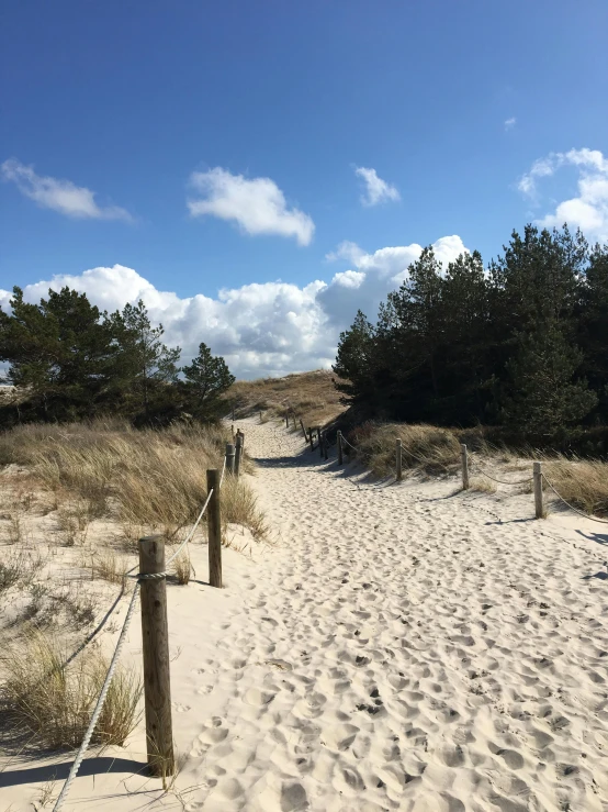 a path leading to a sandy beach on a sunny day, a picture, by Christen Dalsgaard, happening, pine, thumbnail, dune, phone photo