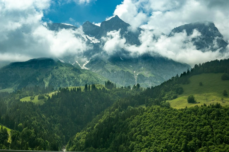 a herd of cattle grazing on a lush green hillside, an album cover, by Cedric Peyravernay, pexels contest winner, renaissance, icy mountains, pine forests, covered in clouds, conde nast traveler photo