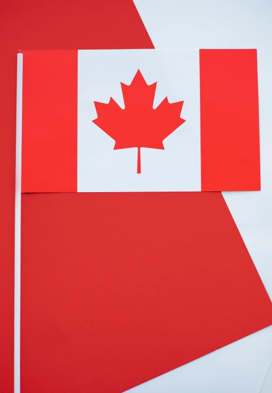 a canadian flag on a red and white background, inspired by A. J. Casson, pexels, 3 - piece, diecut, closeup - view, vinyl