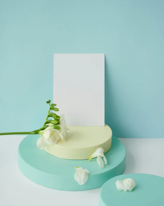 a flower sitting on top of a table next to a piece of paper, product display photograph, cyan and green, round base, no text
