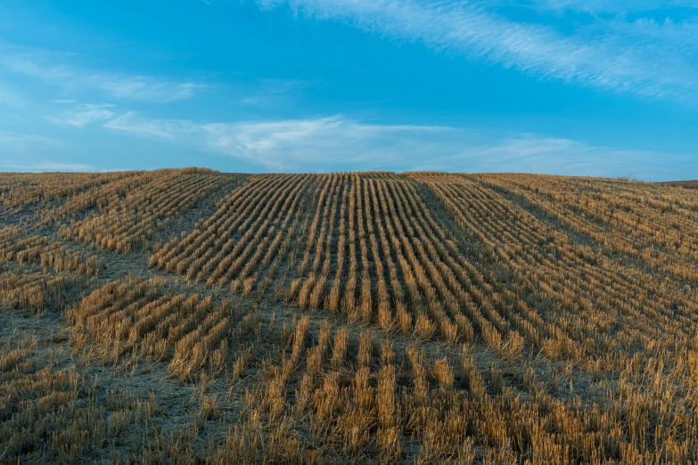 a plowed field with a blue sky in the background, by Jan Rustem, land art, epic ultrawide shot, stubble, hillside, iowa