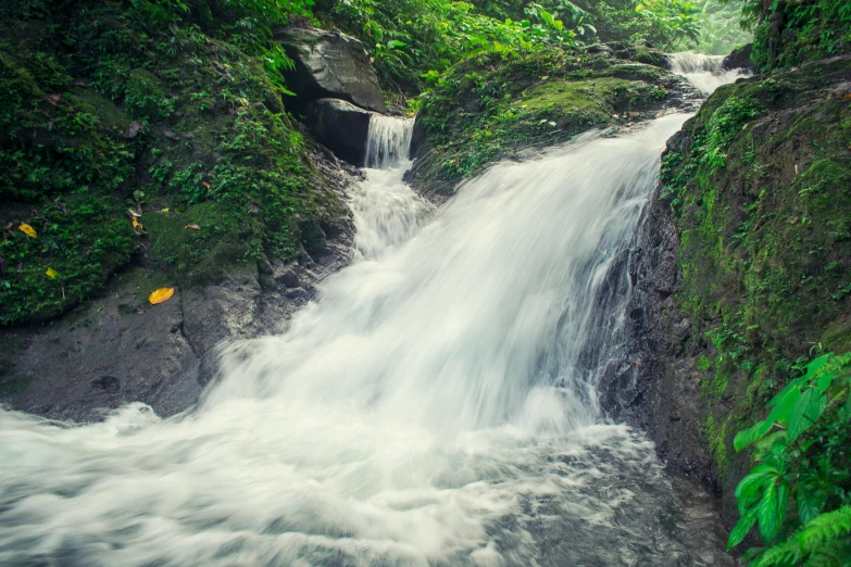 a waterfall flowing through a lush green forest, an album cover, unsplash, sumatraism, city of armenia quindio, slide show, full frame image