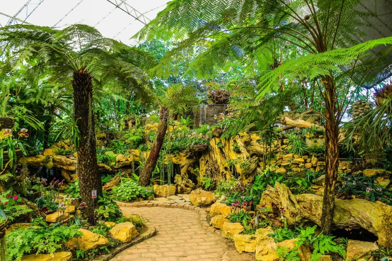 a garden filled with lots of plants and trees, by Julia Pishtar, shutterstock, biodome, fan favorite, overgrown with puffy orchids, stone pathways