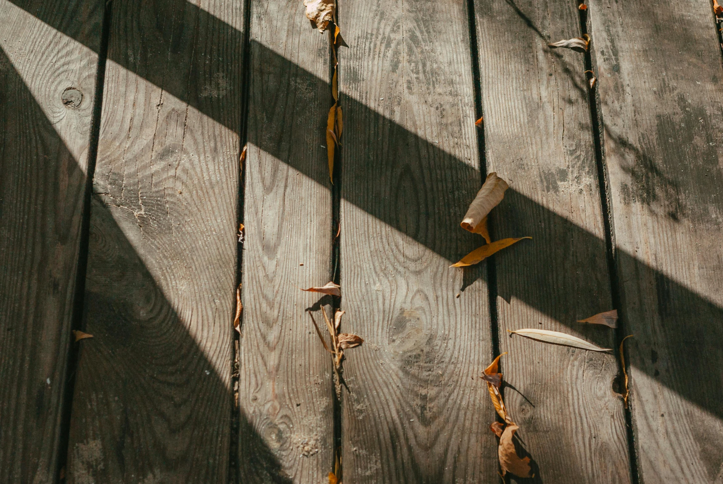 a shadow of a person on a wooden deck, inspired by Elsa Bleda, pexels contest winner, visual art, leaves falling, brown, background image, wooden supports