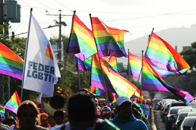 a group of people walking down a street holding flags, verdadism, rainbow colors, eloy morales, slide show, thumbnail