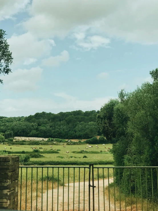 a giraffe standing on top of a lush green field, inspired by Camille Corot, unsplash, les nabis, detailed fences and stone walls, panoramic shot, lots of oak and olive trees, taken from the high street