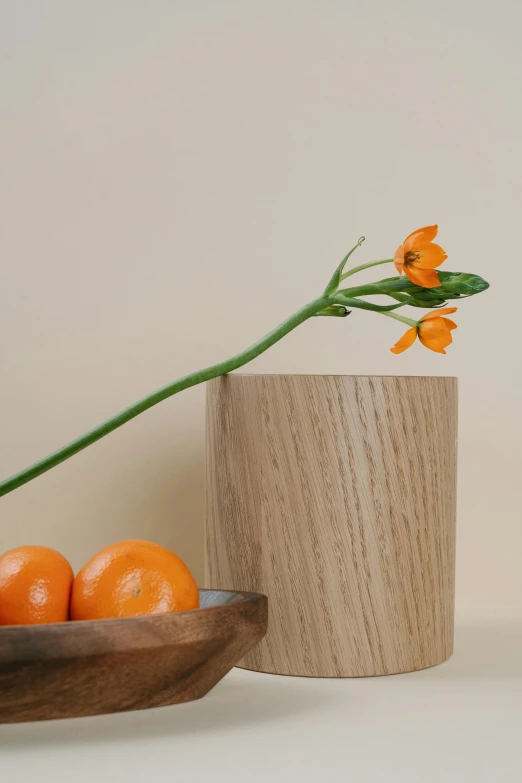 a wooden bowl filled with oranges next to a vase, inspired by Robert Mapplethorpe, orange flowers, medium close up, oak, product introduction photo