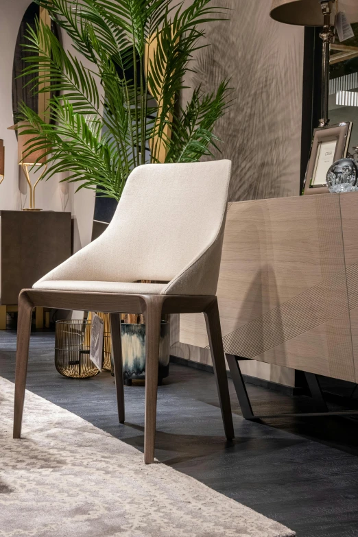 a living room filled with furniture and a potted plant, inspired by Emilio Grau Sala, pininfarina, dining table, medium close up shot, chair