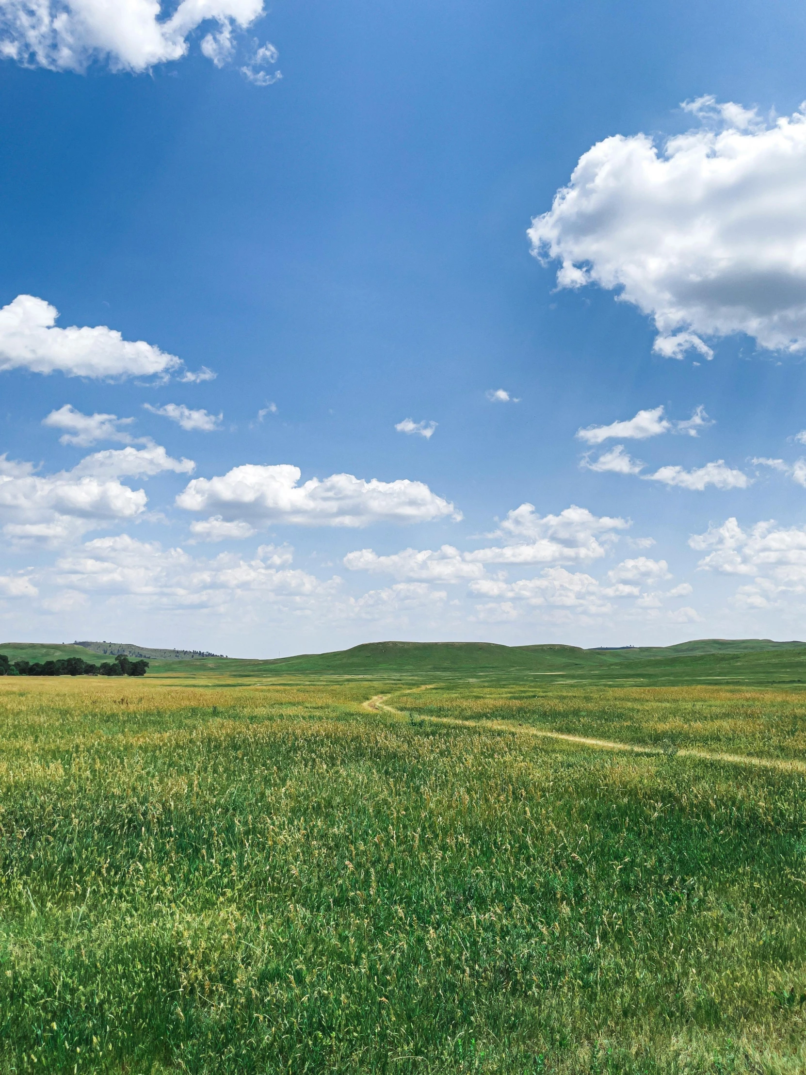 a field of green grass with a blue sky in the background, unsplash contest winner, land art, prairie in background, ai weiwei and gregory crewdson, background image, mongolia