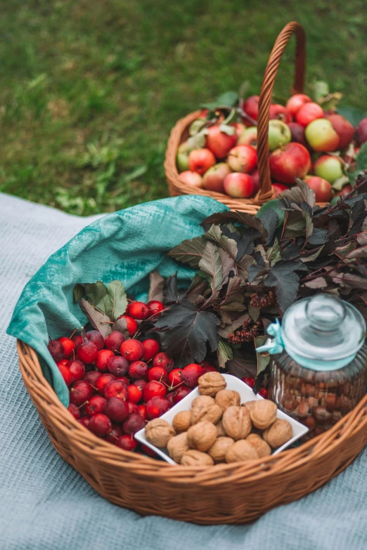 a picnic basket filled with fruit and nuts, by Adam Marczyński, pexels contest winner, renaissance, red and teal color scheme, beginning of autumn, detail shot, with fruit trees