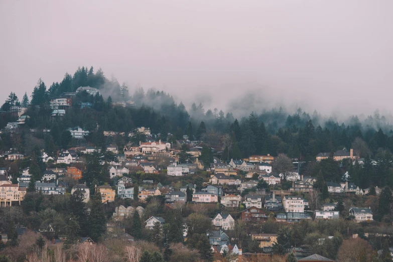 a group of houses sitting on top of a lush green hillside, by Carey Morris, unsplash contest winner, vancouver school, forest pink fog planet, overcast dusk, portland oregon, faded and dusty