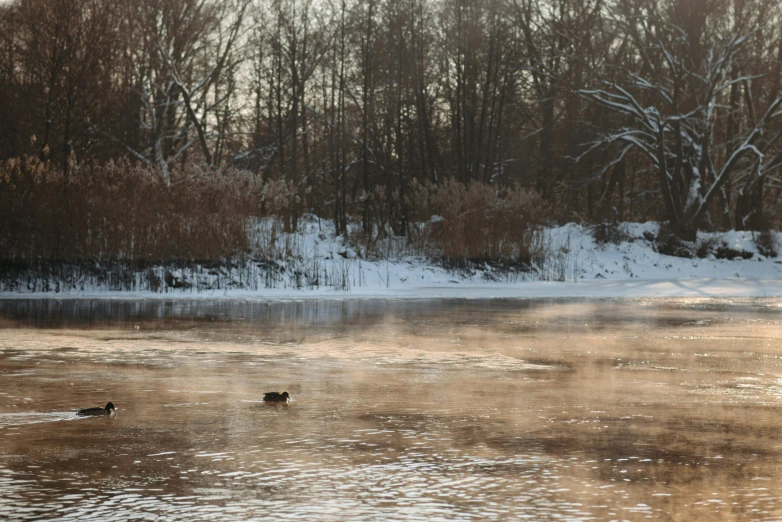 a couple of ducks floating on top of a lake, a photo, by Jan Tengnagel, pexels contest winner, tonalism, frozen river, ai weiwei and gregory crewdson, winter landscape outside, today\'s featured photograph 4k